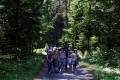Porytowe_Wzgorza_-_w_rezerwacie